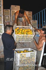 我县专业合作社成农副产品外销主力军，为乡村振兴注入新动能