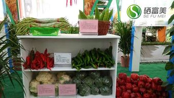 硒富美电商 2015年健康农副产品行业的品牌标杆之路