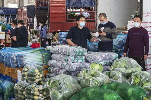 郭锋探访 温州农副产品批发交易市场复工复产见闻