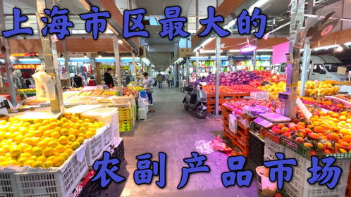 上海市区最大农副产品市场探秘 种类齐全背后，价格真的实惠吗？