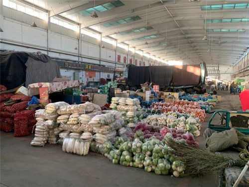 松原农副产品供应充足，市场价格保持平稳